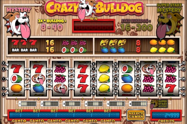 23097 crazy bulldog