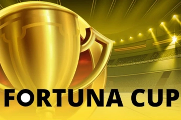 23844 243 fortuna cup